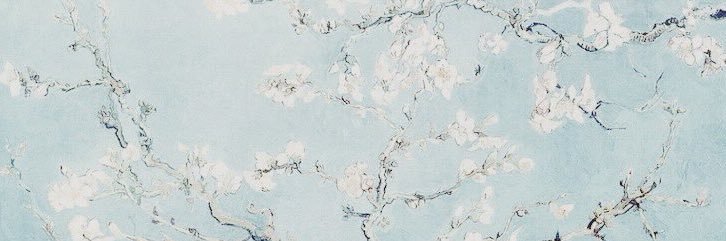 riri banner