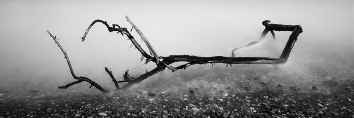 InsipidMedia's profile banner image