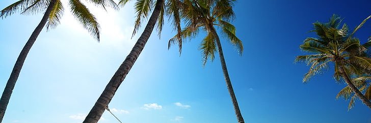 💣いー&るる banner