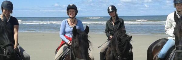 Wendelism Profile Banner