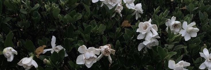 111888 banner