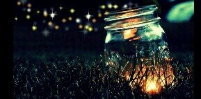 bubbleteaskies's profile banner image