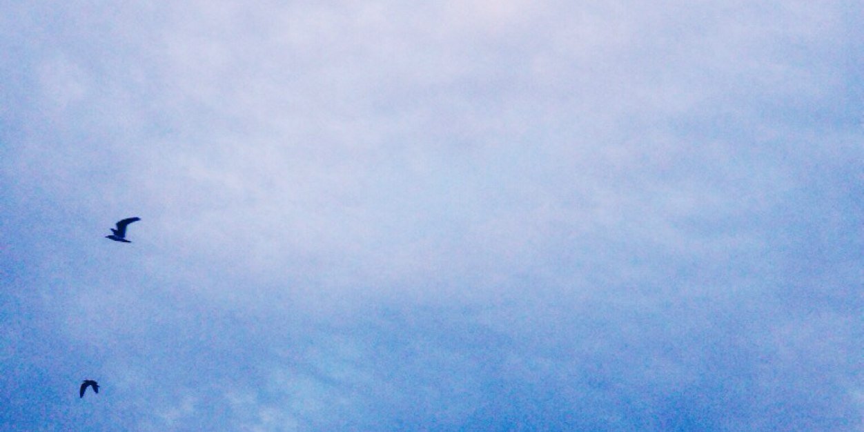 lindsfo's profile banner image