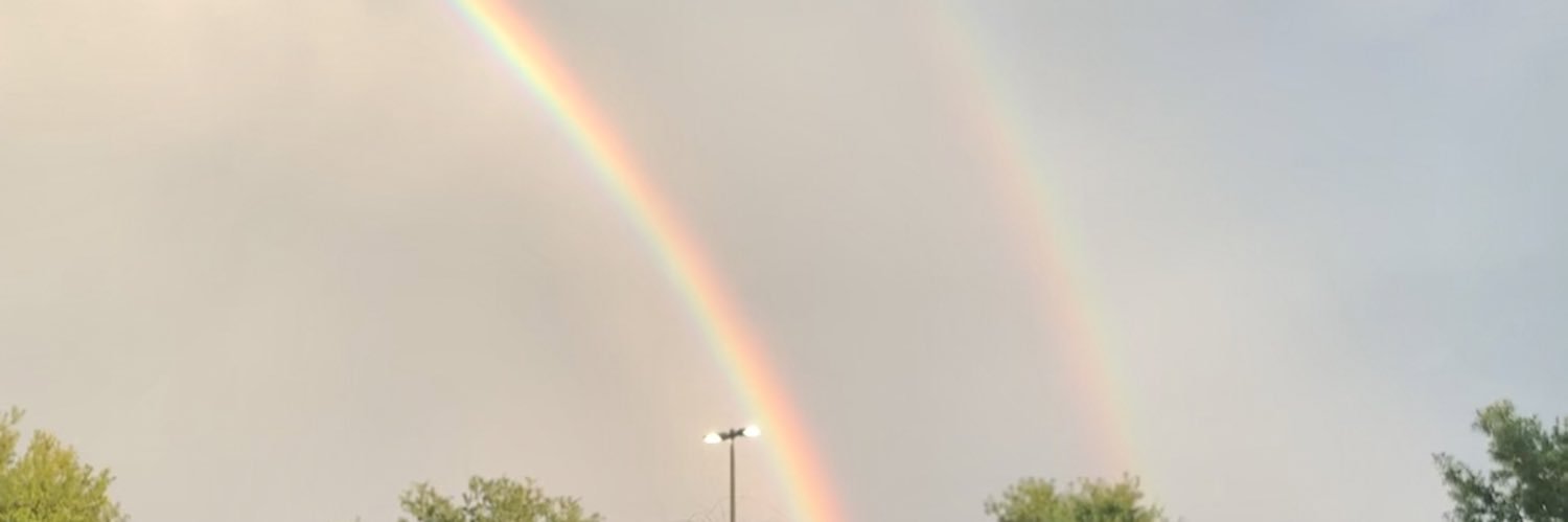 luli_218's profile banner image
