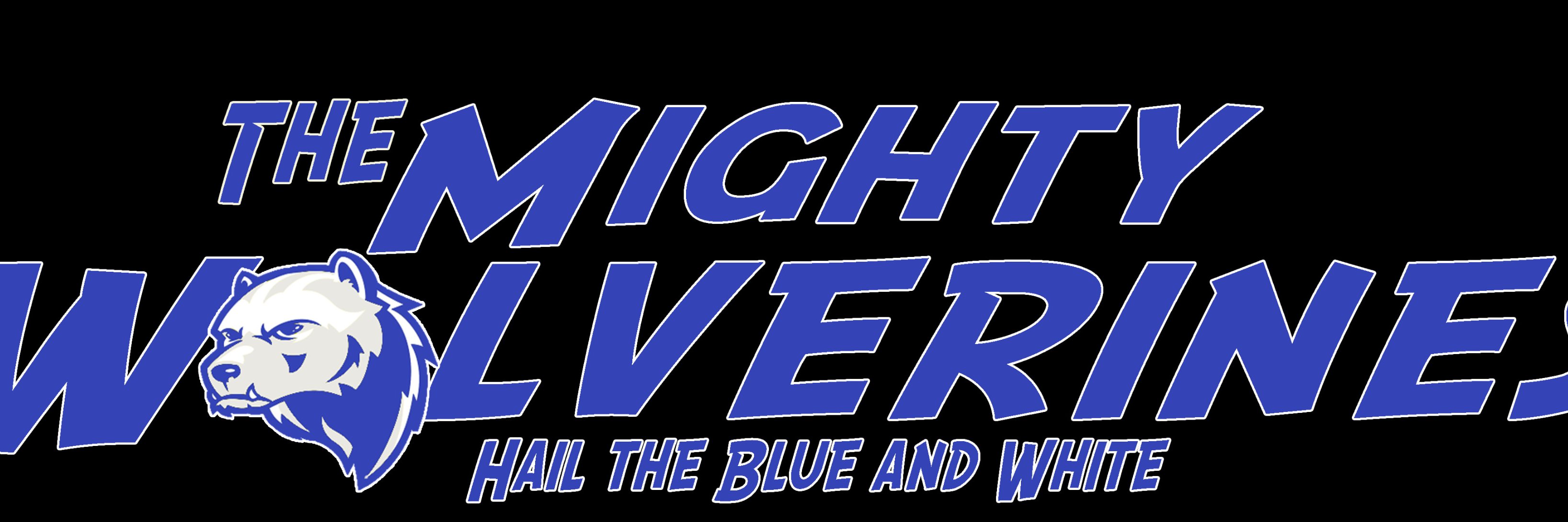 thswolverines's profile banner image