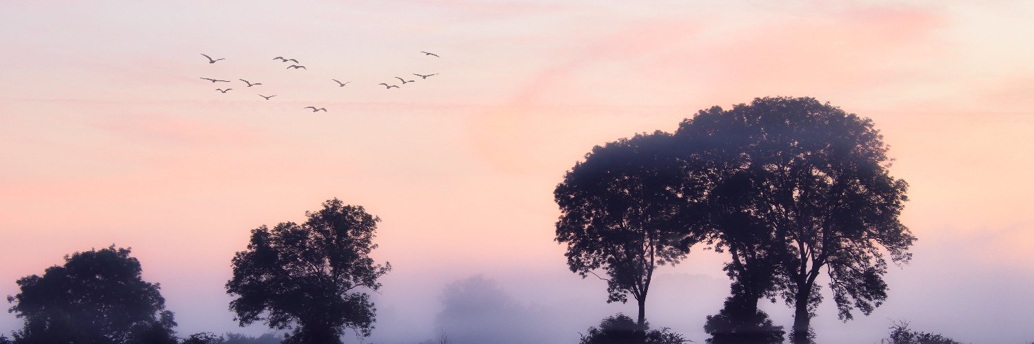 fakerain9's profile banner image