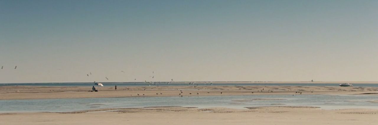 🍂 banner