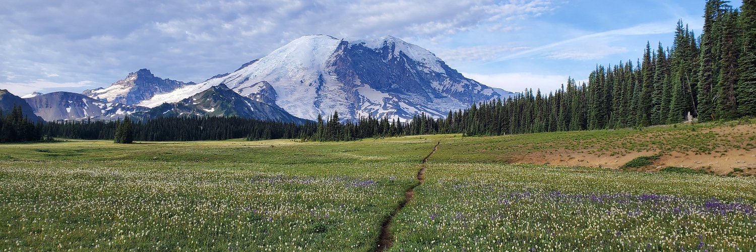 Christophe Fiessinger banner