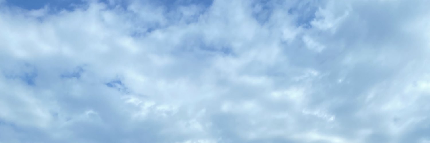 gemini8005's profile banner image