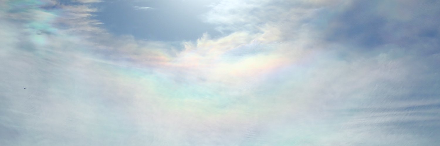 m_kotonoha's profile banner image