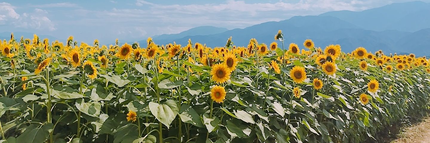 nozo9293's profile banner image