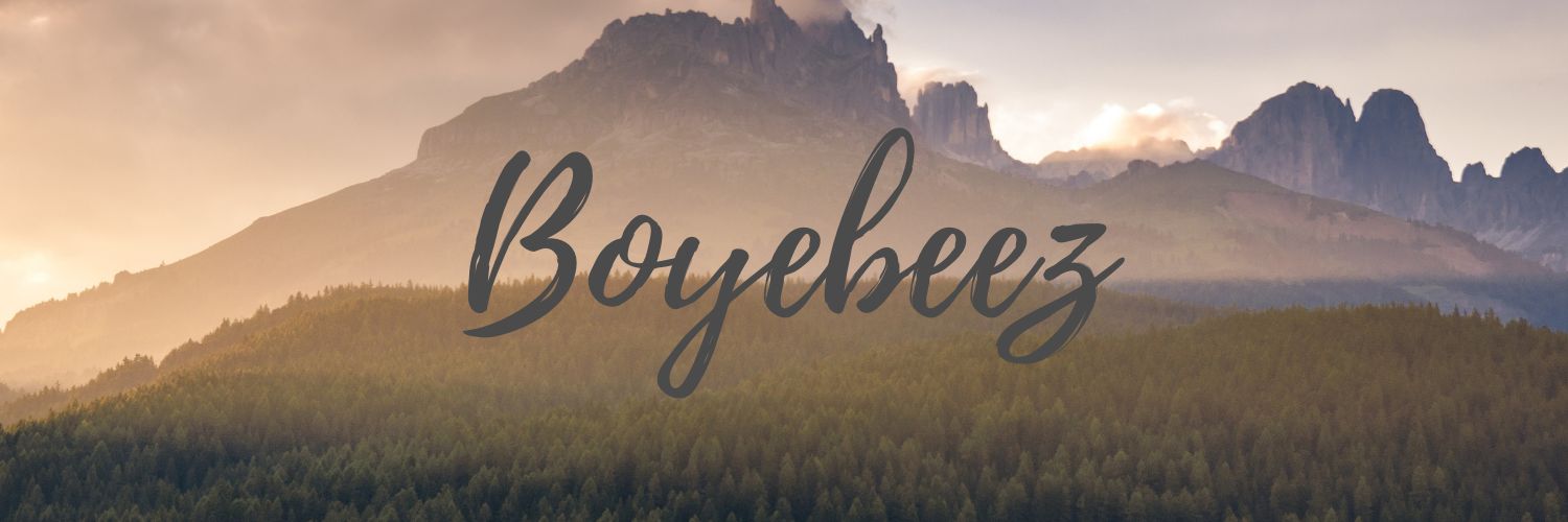 boye_beez's profile banner image