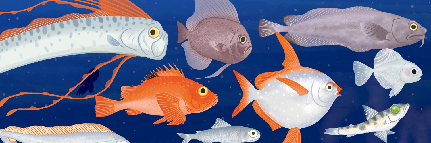 上田英津子（illustrator） banner