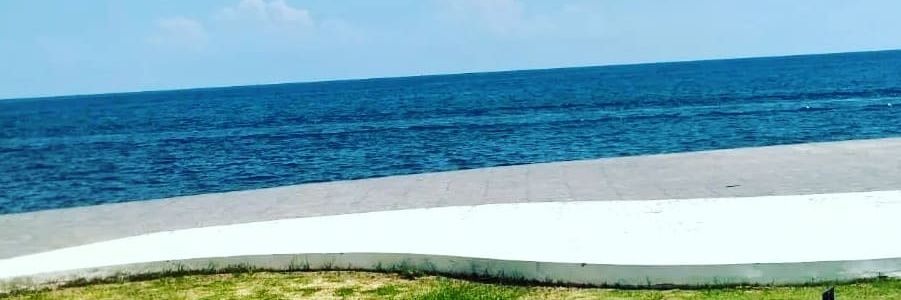 Chiyu banner