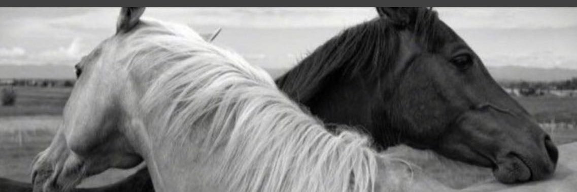 Diamond♑️🇸🇦 banner