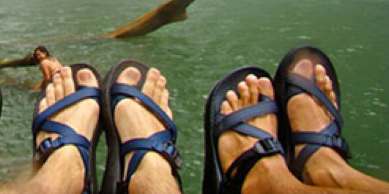 TypicalPresby's profile banner image