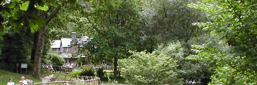 Sally S banner