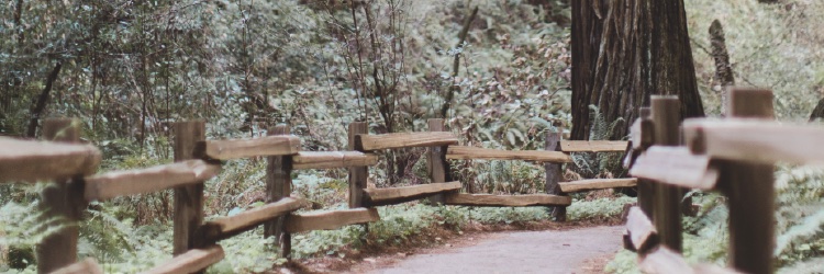 kplunk217's profile banner image