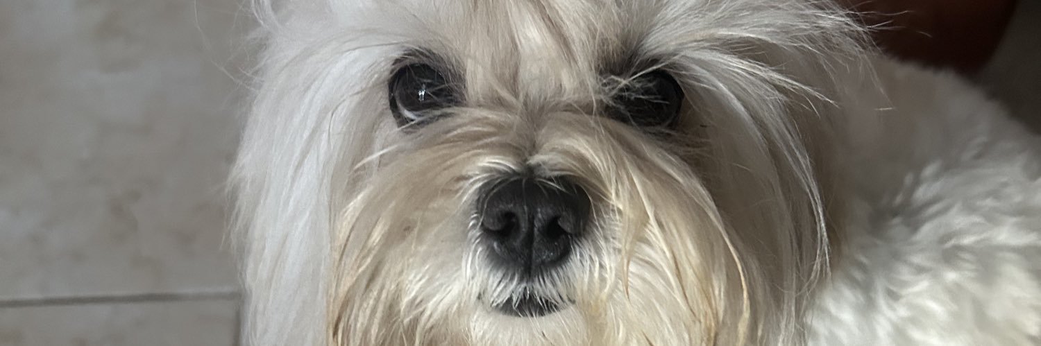 hellokkjk's profile banner image