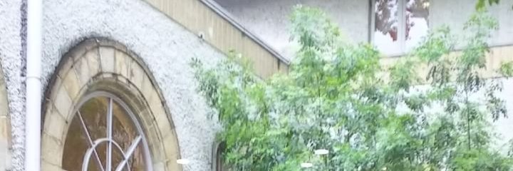 Dogmen2X's profile banner image