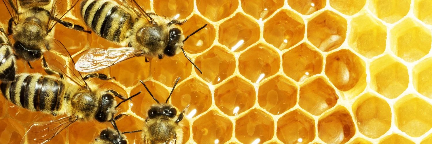 BellstheBee (Comms Open!) banner