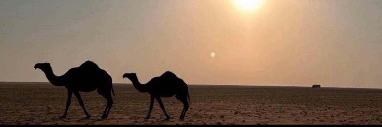 l2_r22's profile banner image
