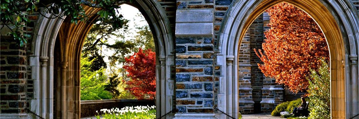 DukeUCAE's profile banner image