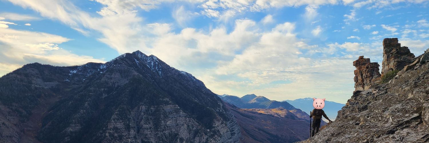 SPQR (thee/thou) banner