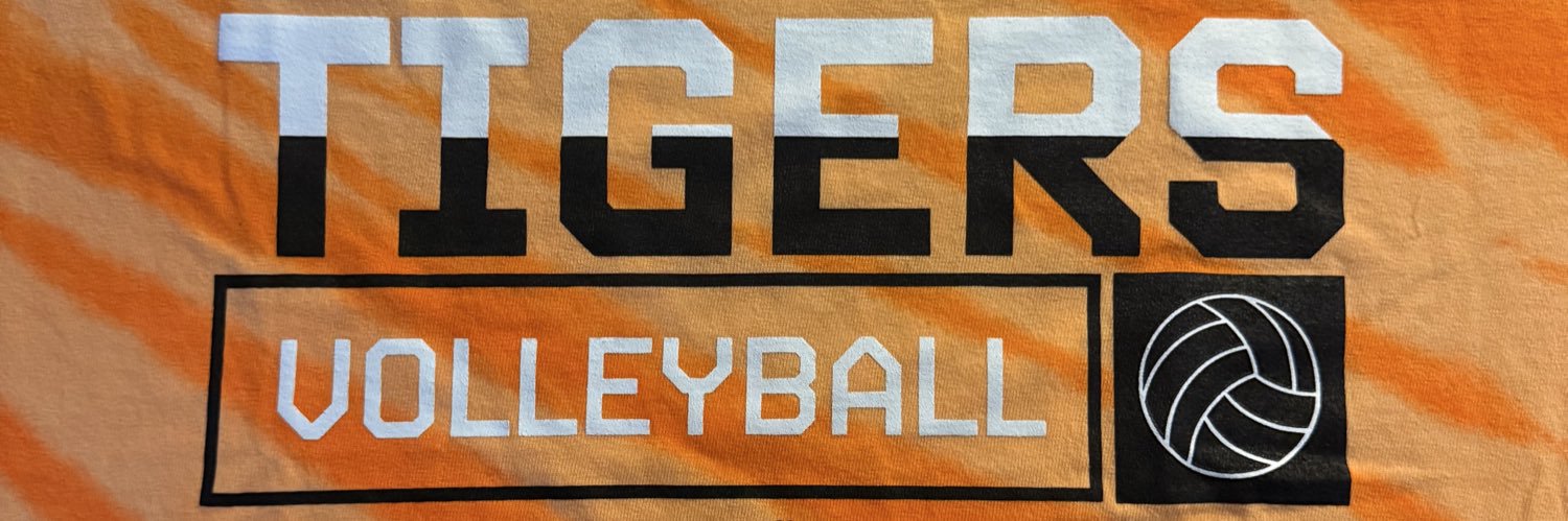 LHS Volleyball banner