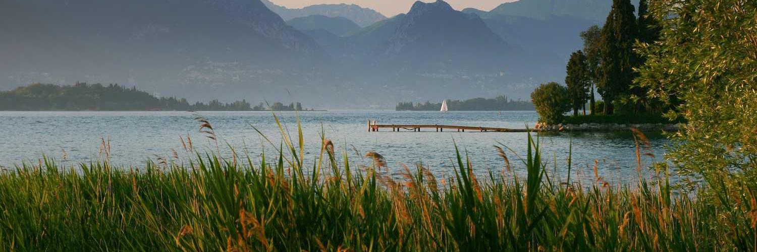 jeson namoc❤️ Memecoin banner