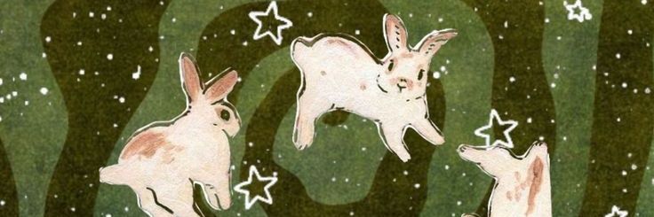 Reviv_EdelWeiss's profile banner image