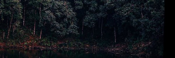 JSchreuder Profile Banner