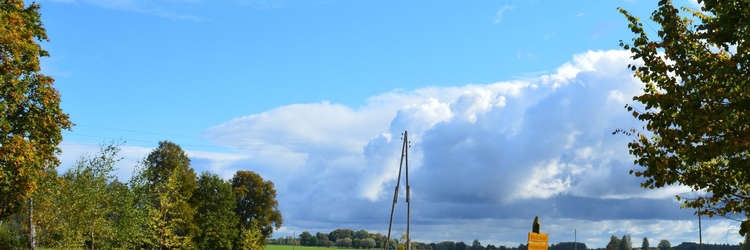 IlzeNegribe's profile banner image