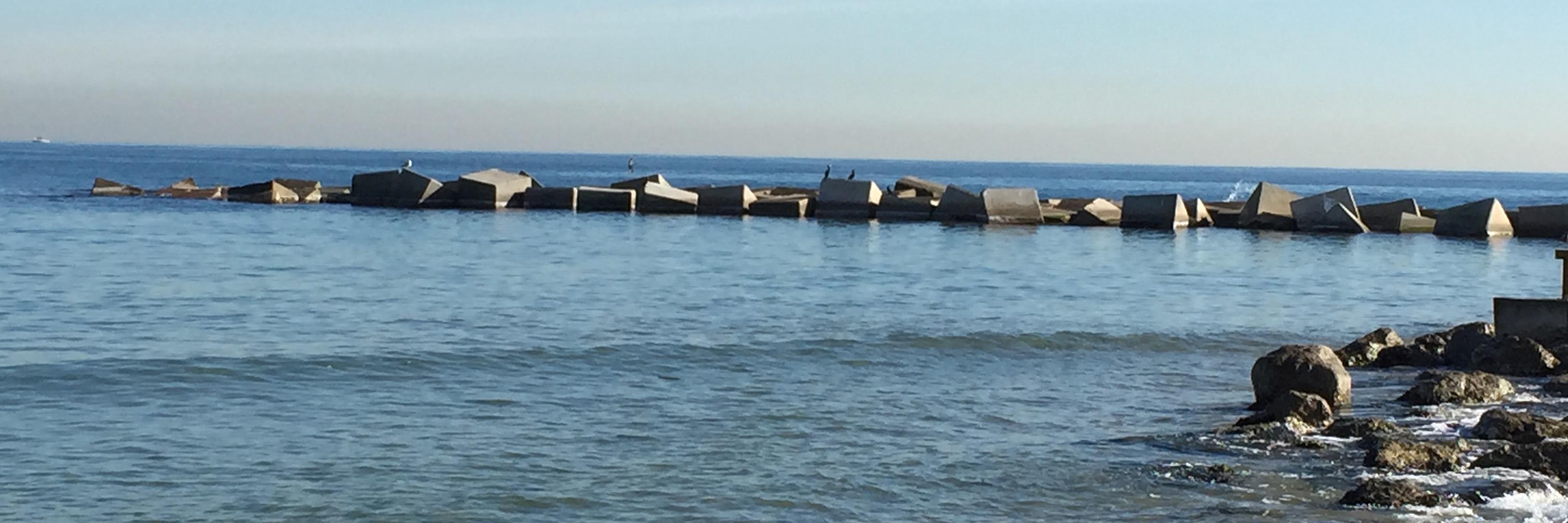 Nancy Tripathi banner