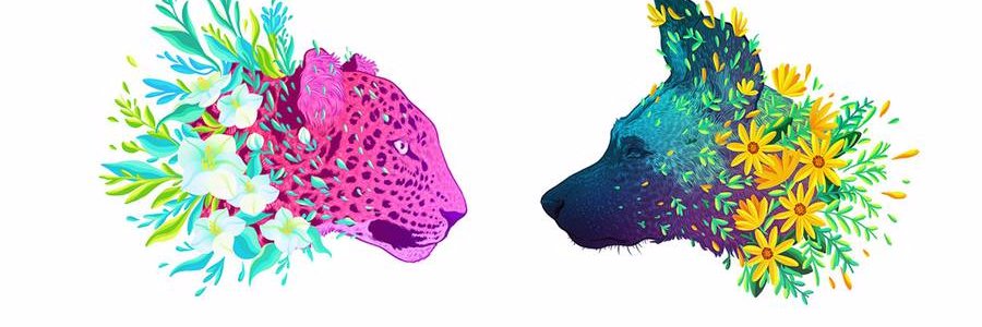 coldholograms's profile banner image