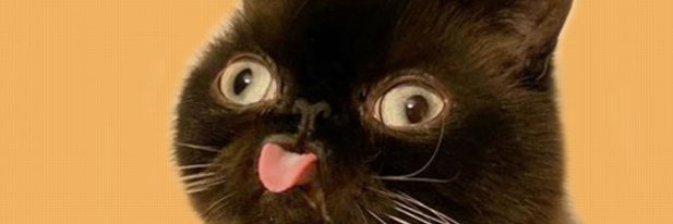 fazijs's profile banner image