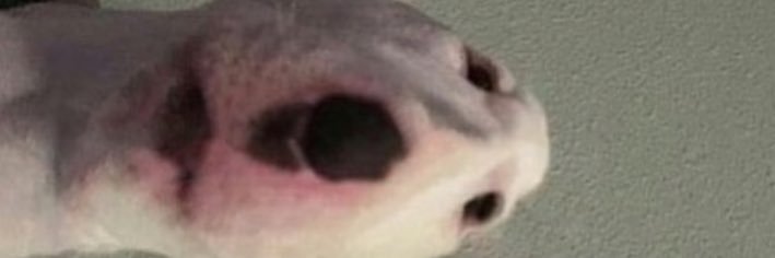 BenBarrzy's profile banner image