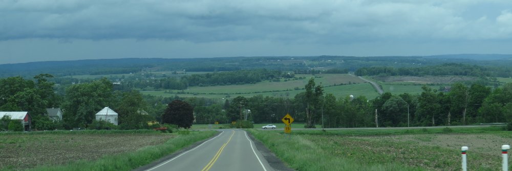 Victoria Wolf banner