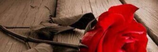 Floo1002's profile banner image