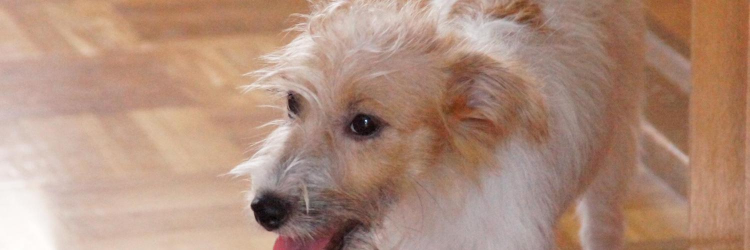 ponta32000's profile banner image