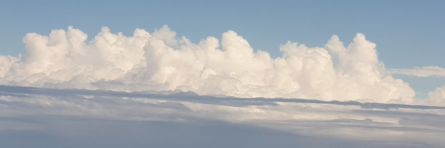 winter419's profile banner image
