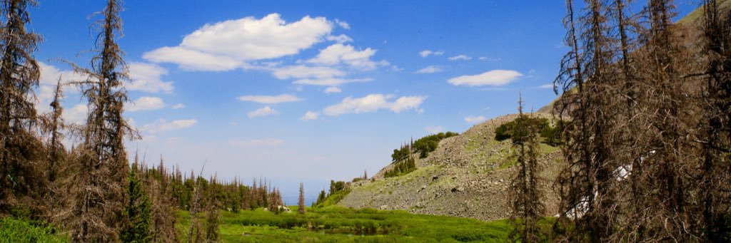 LizzyHarshfield's profile banner image