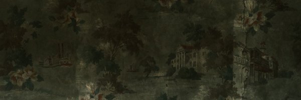 siderali02 Profile Banner