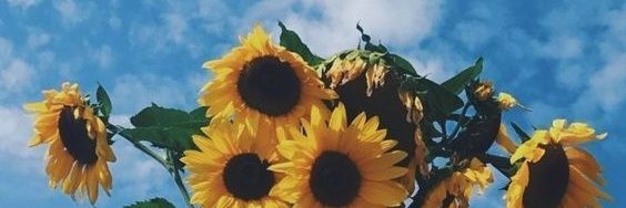Br_Luana69's profile banner image