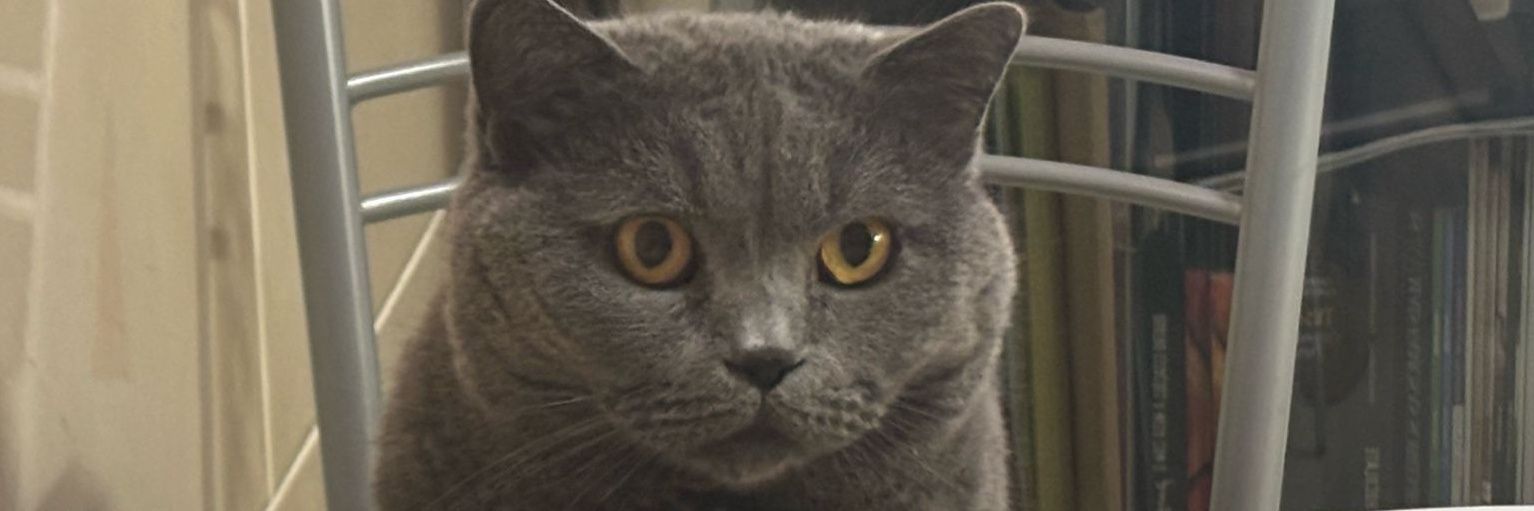 a78640431's profile banner image