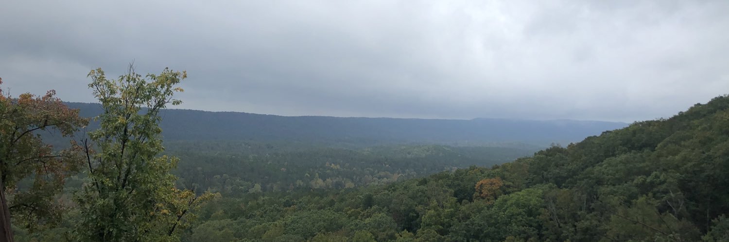 caleroberthall's profile banner image