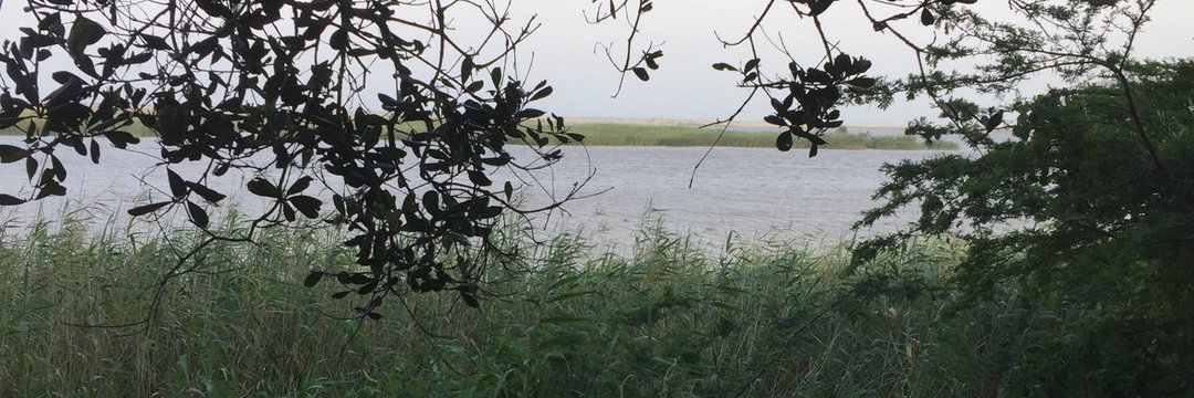 LENTZUNG's profile banner image