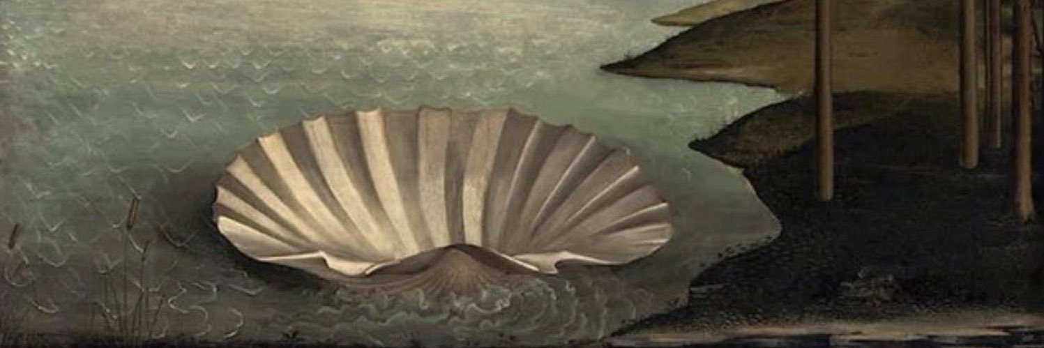 maybesiera's profile banner image