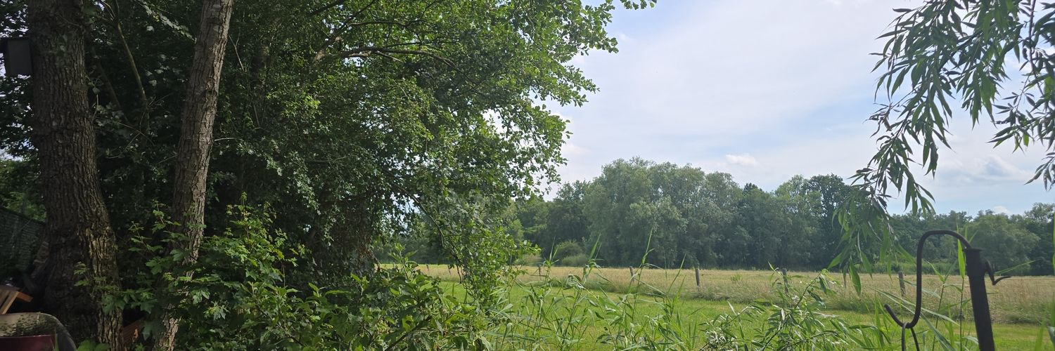 cornelissecond's profile banner image