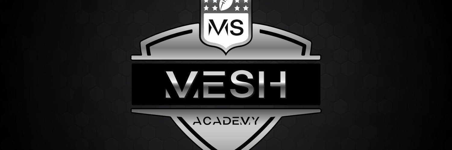 MESH ACADEMY banner